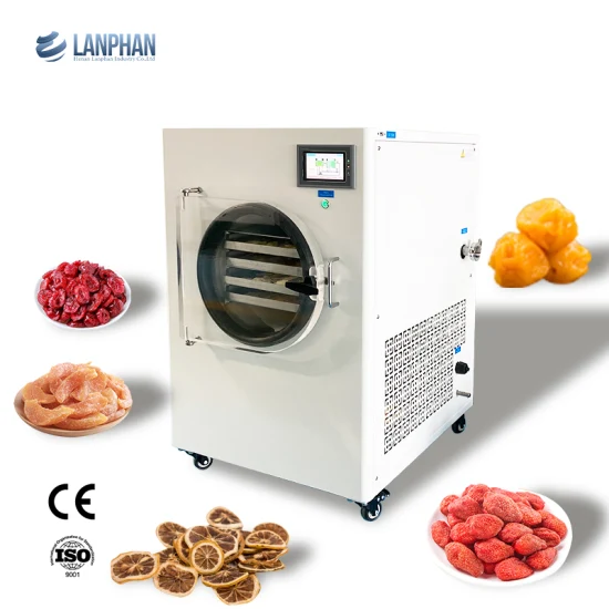 Máquina liofilizadora de carne de frutas de laboratório